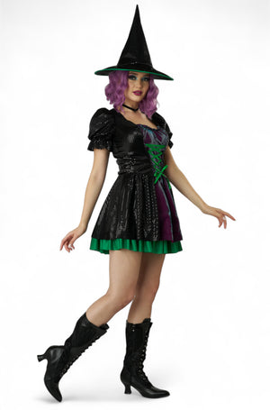 Black Shimmer Witch Adult Costume