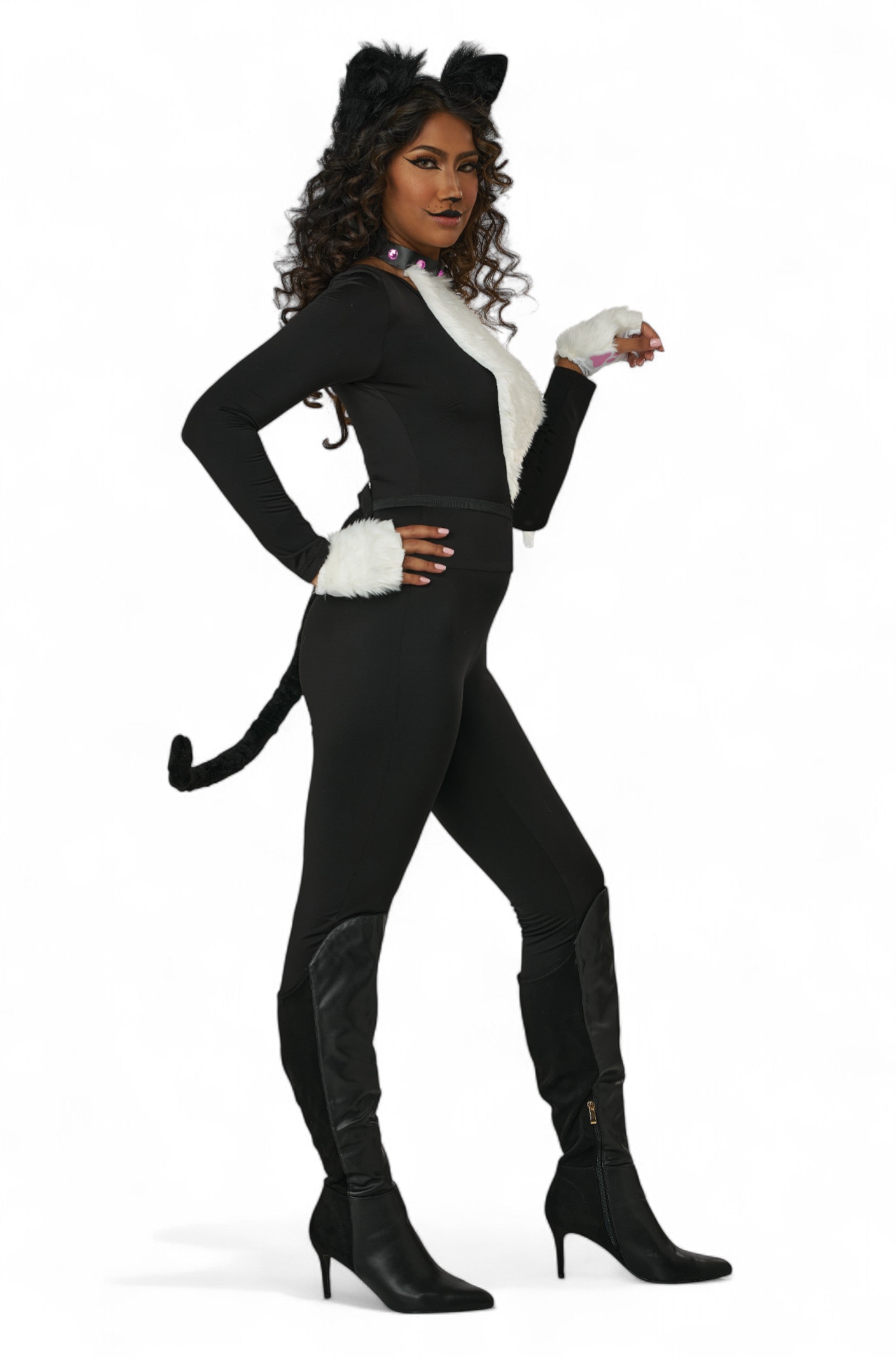 Kitty Cat Adult Costume Kit
