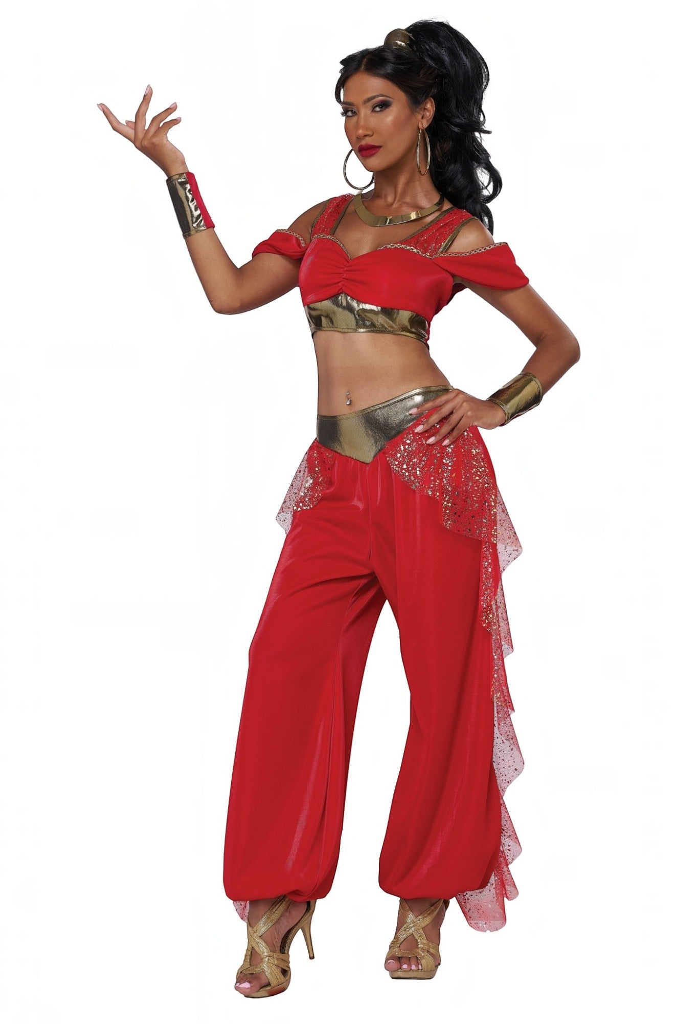 Sultry Arabian Princess Adult Costume