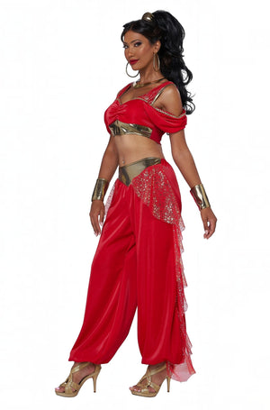 Sultry Arabian Princess Adult Costume