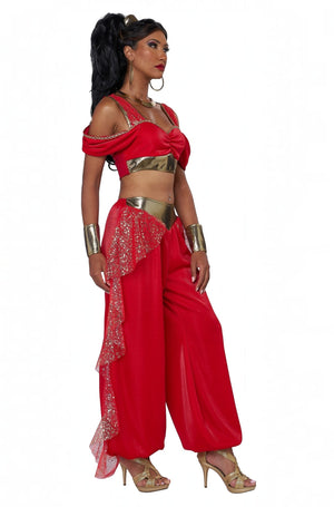Sultry Arabian Princess Adult Costume
