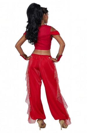 Sultry Arabian Princess Adult Costume