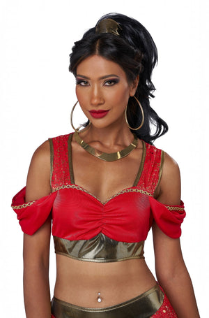 Sultry Arabian Princess Adult Costume
