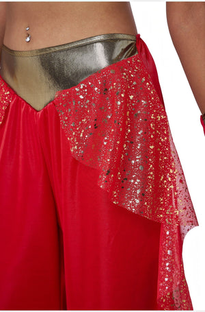 Sultry Arabian Princess Adult Costume