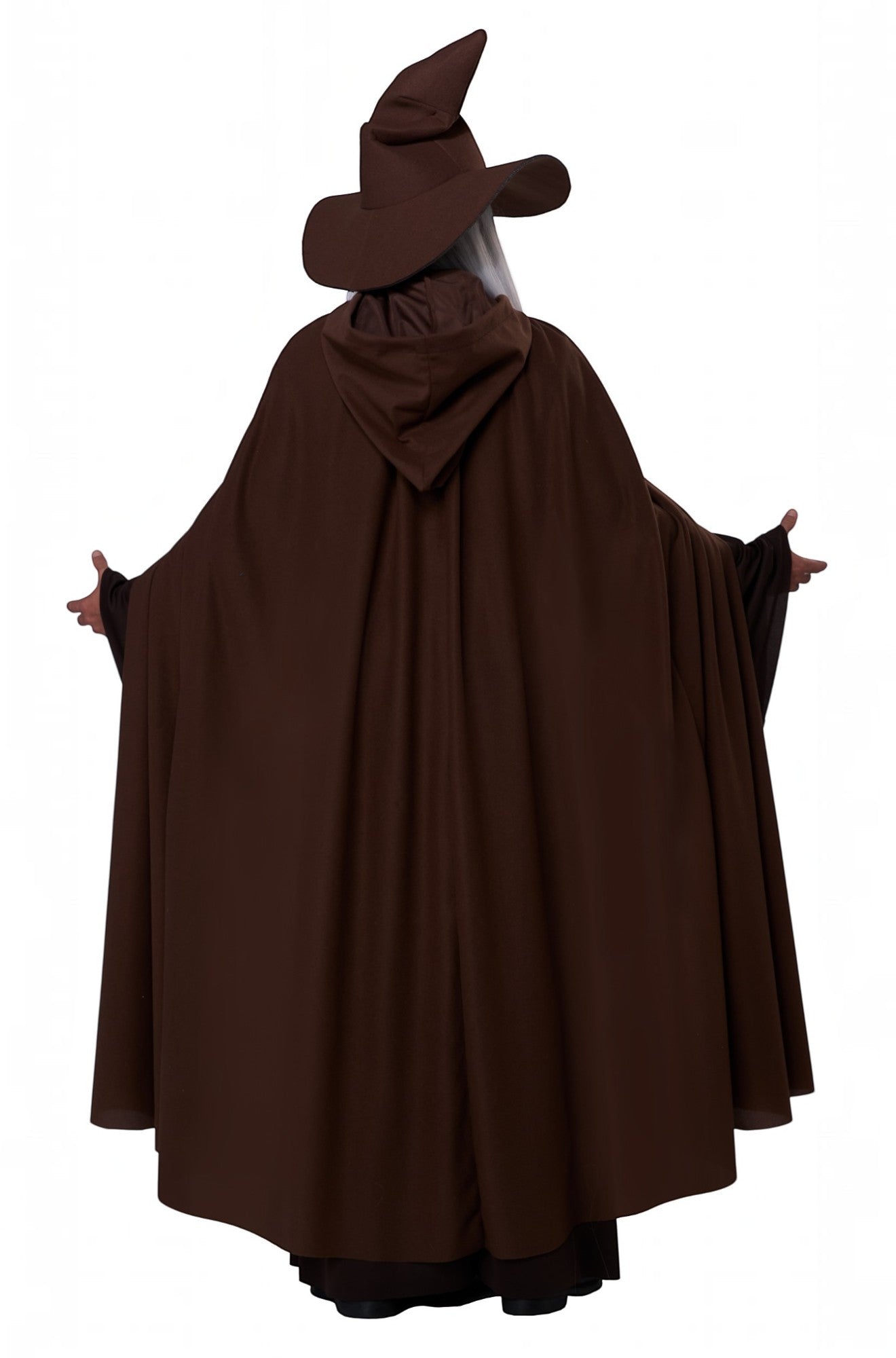 Wandering Wizard Adult Costume (Brown)