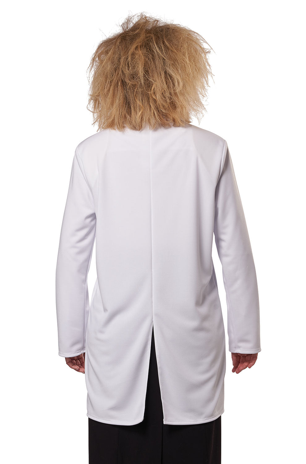 World Famous Physicist Adult Costume