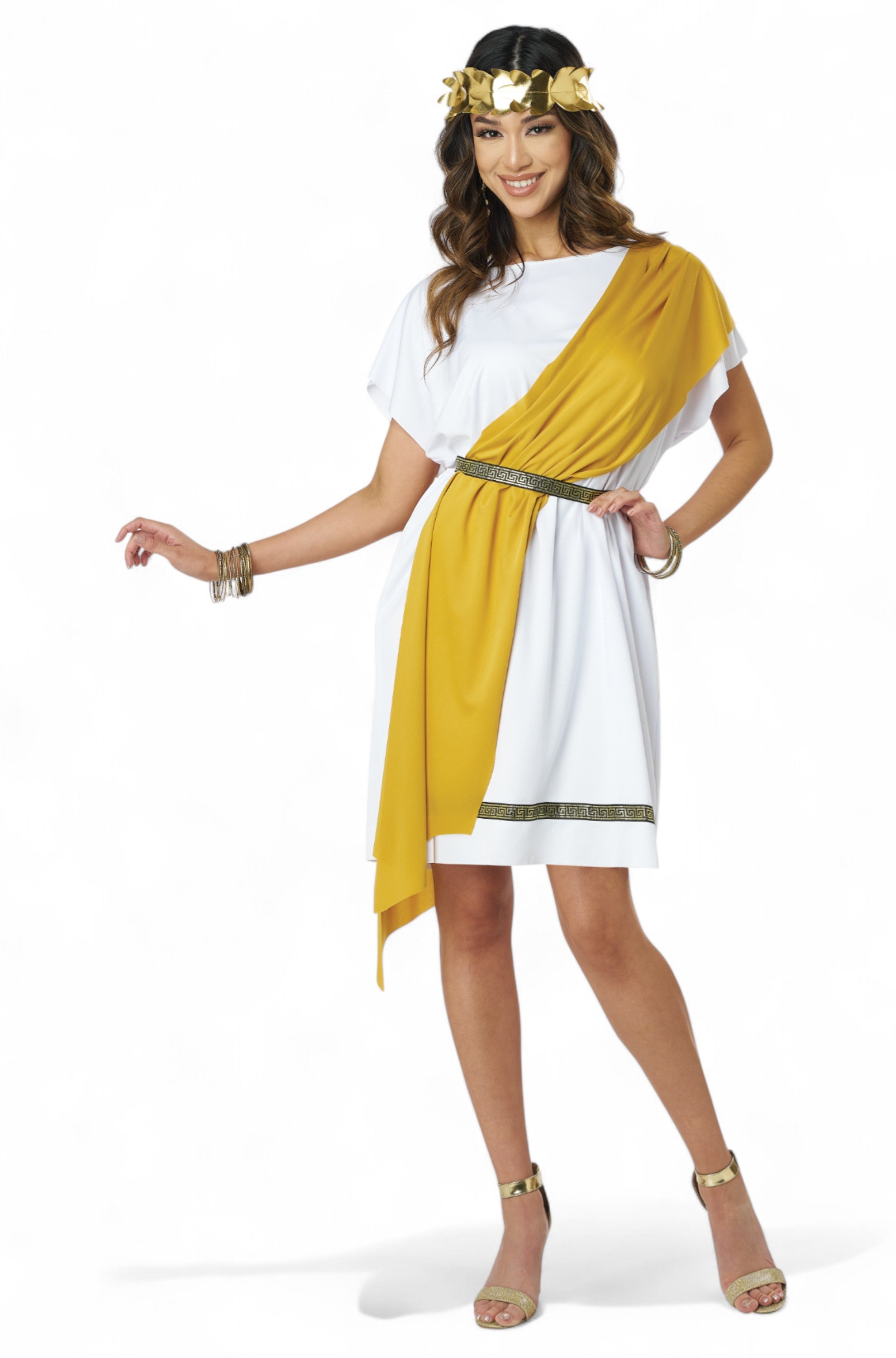 Party Toga Adult Costume Large/X-Large