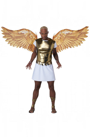 Angel Cosplay Wings (Gold)