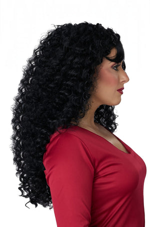 Story Book Sorceress Adult Wig