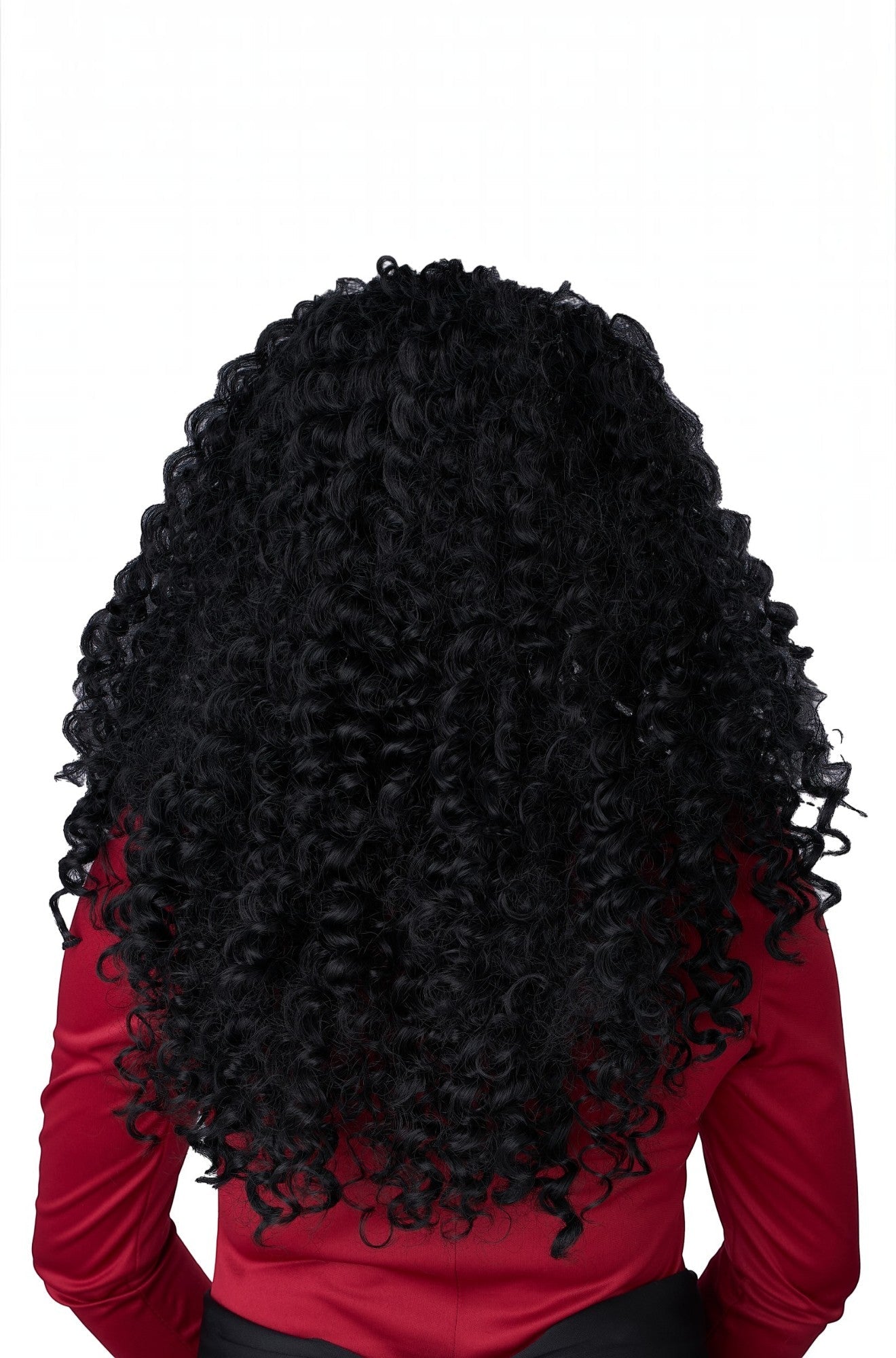 Story Book Sorceress Adult Wig