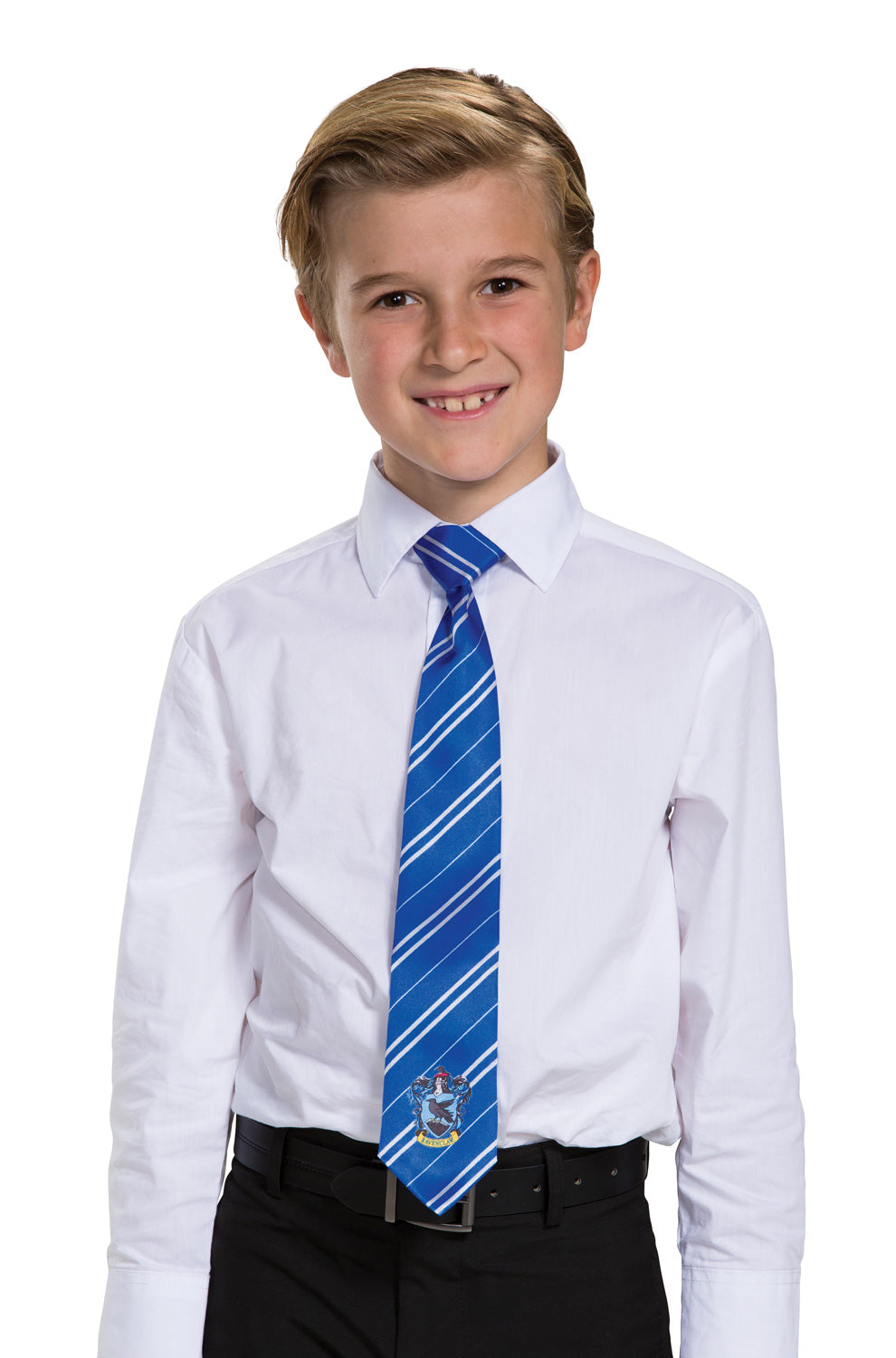Ravenclaw Breakaway Tie