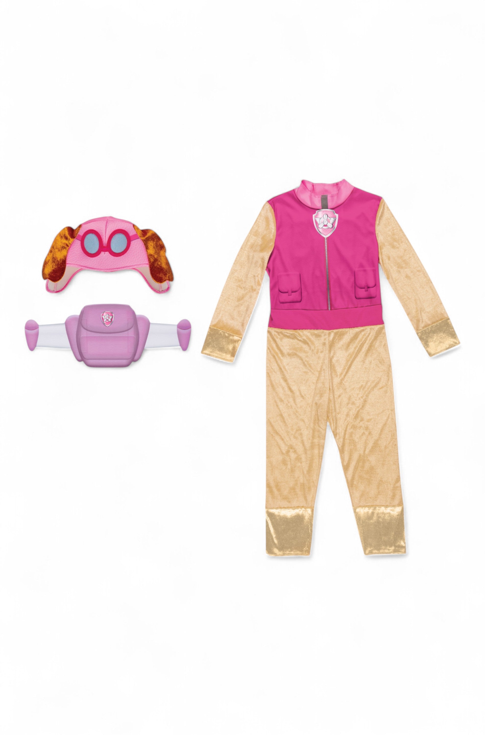 PAW Patrol Skye Classic Toddler Costume