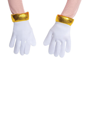 Amy Rose Deluxe Adult Costume