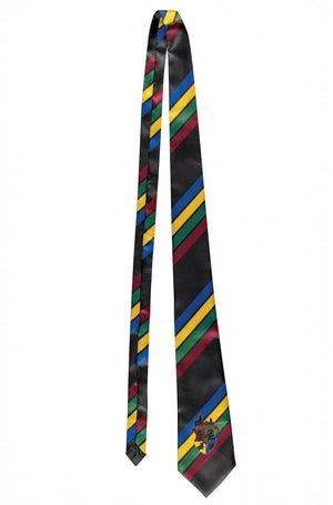 Hogwarts All House Tie