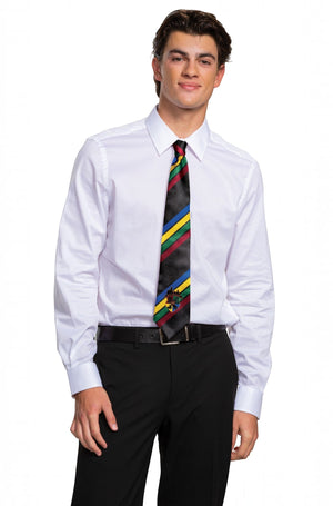 Hogwarts All House Tie