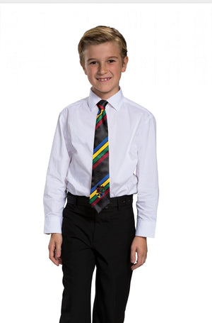 Hogwarts All House Tie