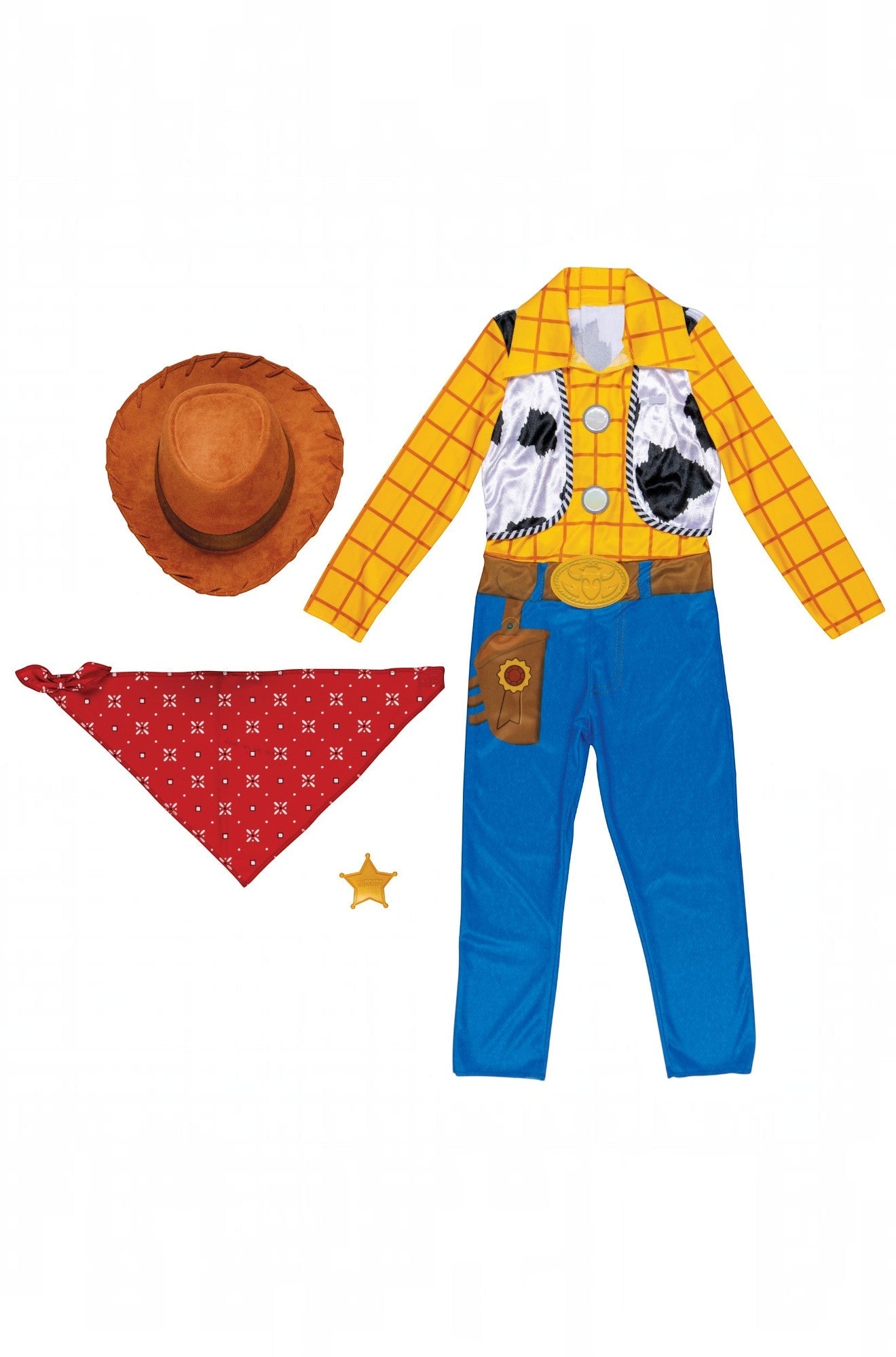 TS5 Woody Classic Child Costume