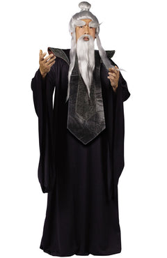 Sensei Master Adult Costume