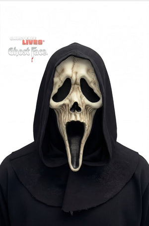 Ghost Face Reaper Adult Mask