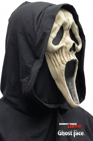 Ghost Face Reaper Adult Mask