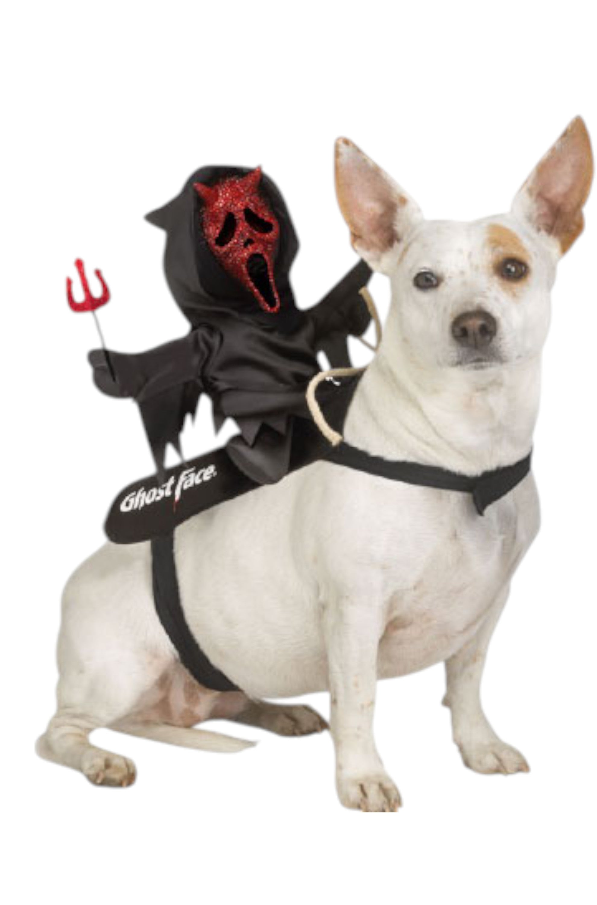 Devil Ghost Face Rider Pet Vest