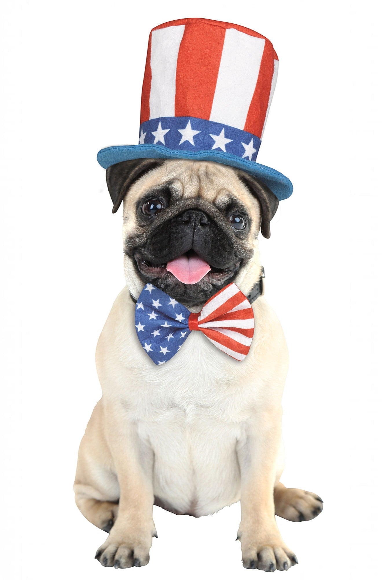 Uncle Sam Pet Accessory Kit