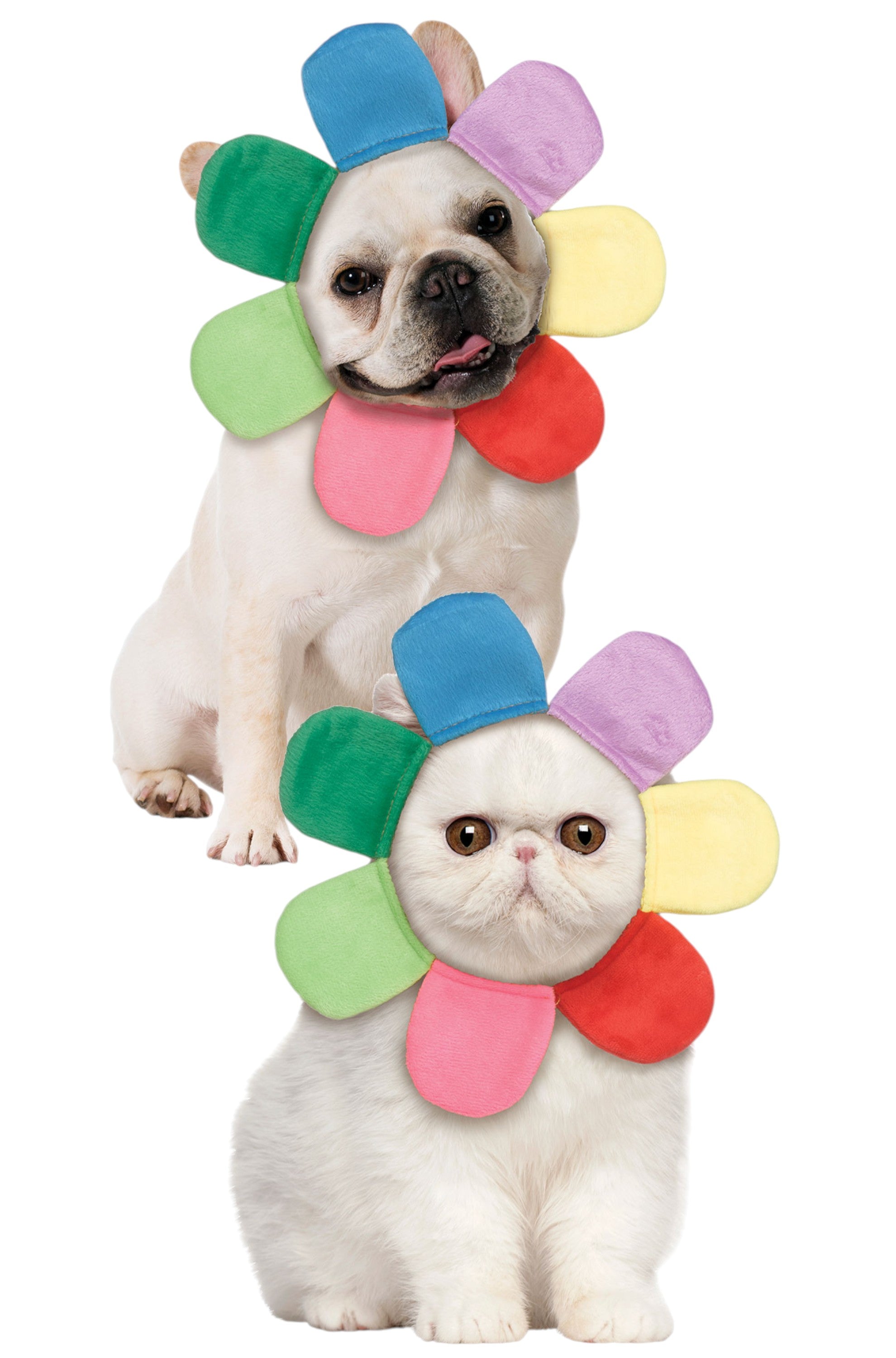 Rainbow Flower Petal Pet Hood