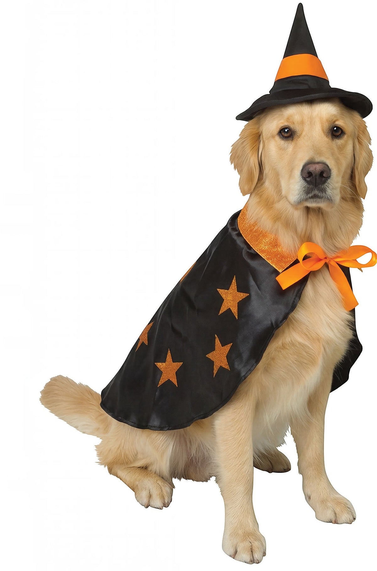 Witchy Pet Costume