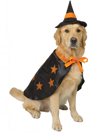 Witchy Pet Costume