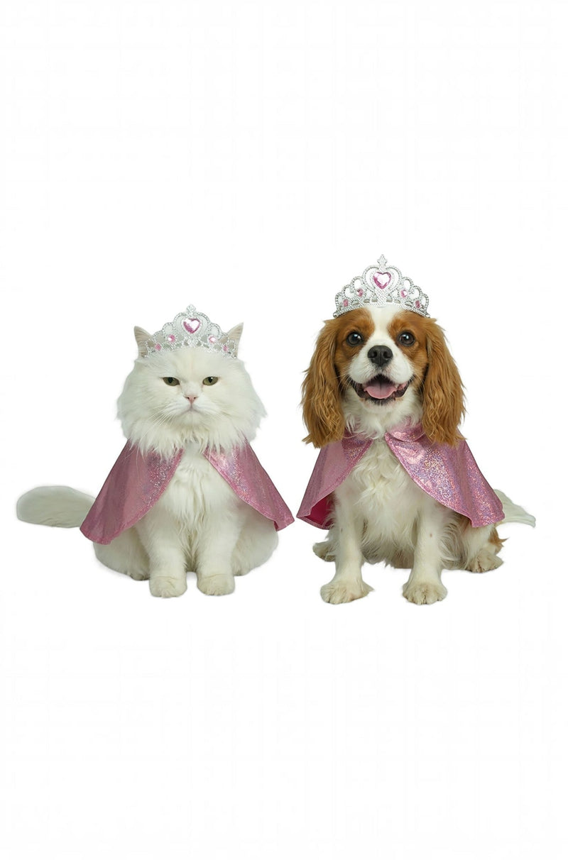 Princess Pet Costume