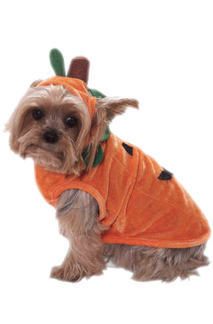 Pumpkin Doggie Pet Costume (Large)