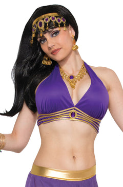 Belly Dancer Harem Top Adult Costume (Purple)
