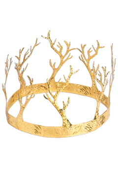 Medieval Fantasy Antler Crown