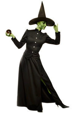 Wicked Witch Plus Size Costume