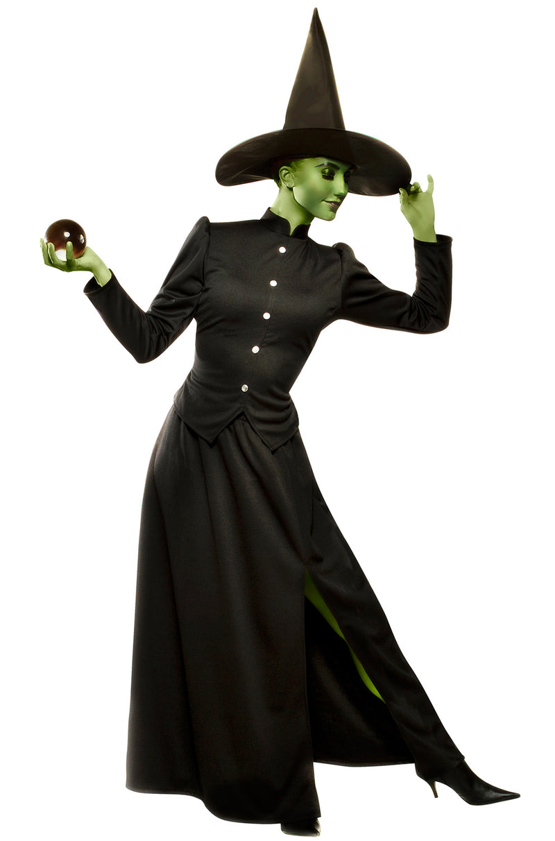 Wicked Witch Plus Size Costume