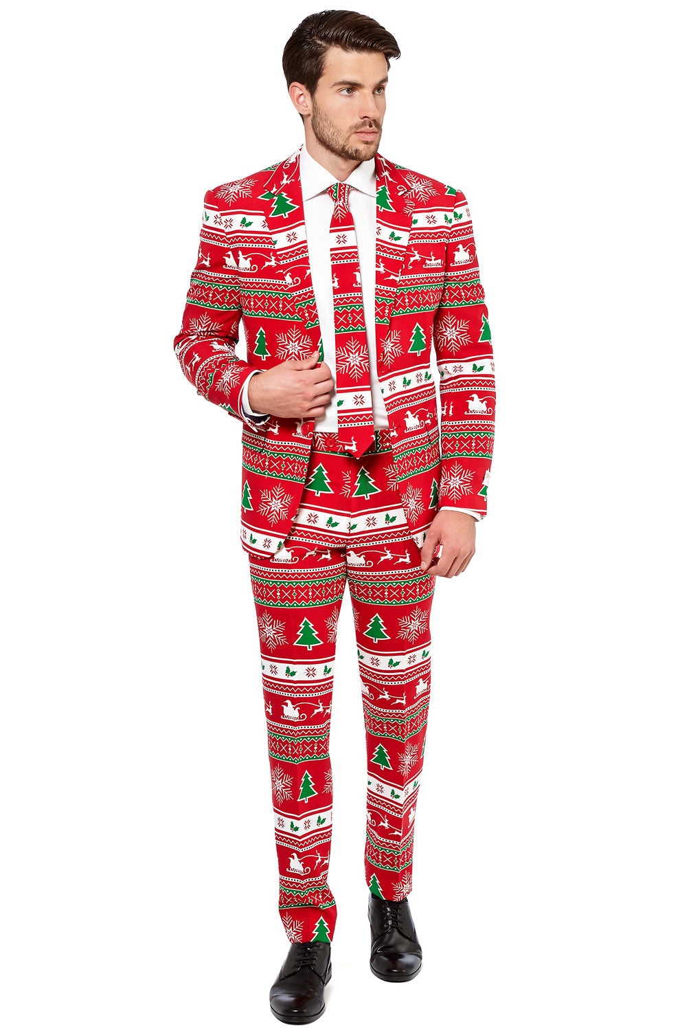 Winter Wonderland Suit Adult Costume