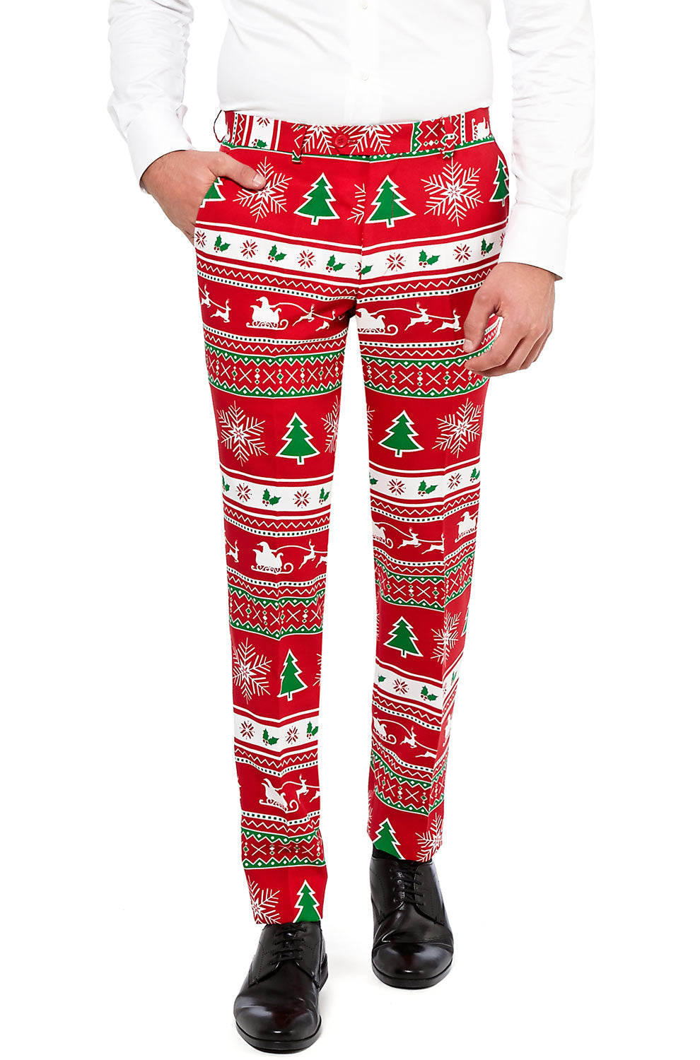 Winter Wonderland Suit Adult Costume