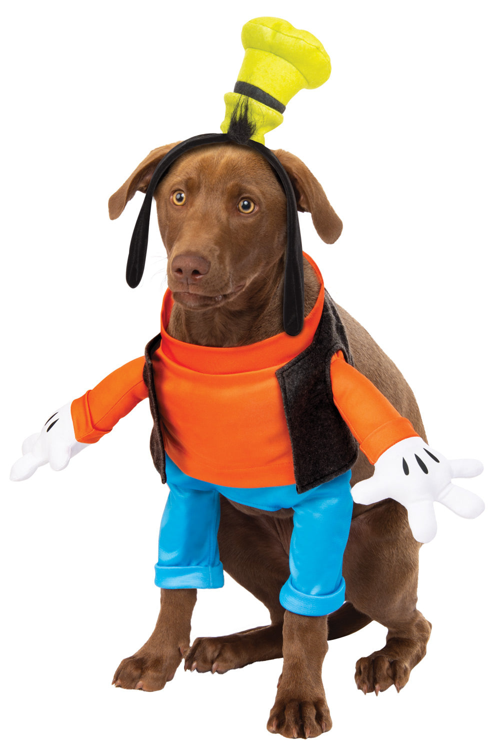 Goofy Pet Costume
