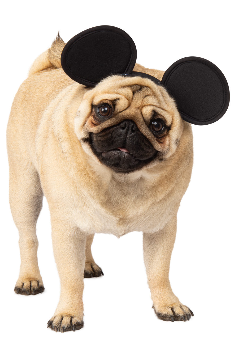 Mickey Mouse Pet Accessory