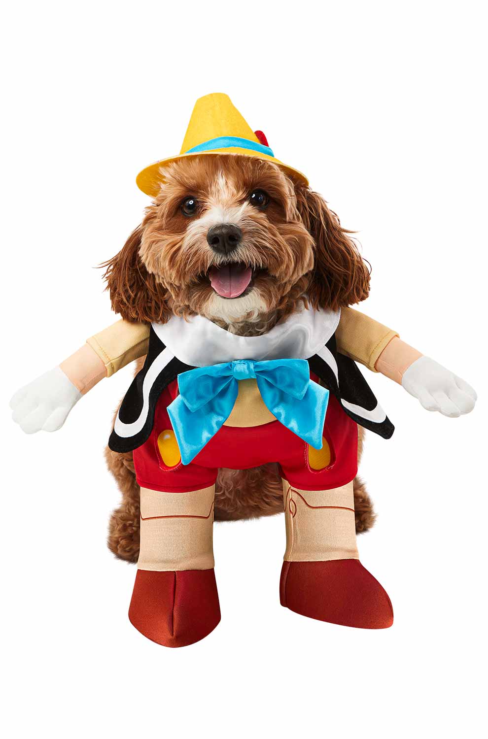 Pinocchio Pet Costume