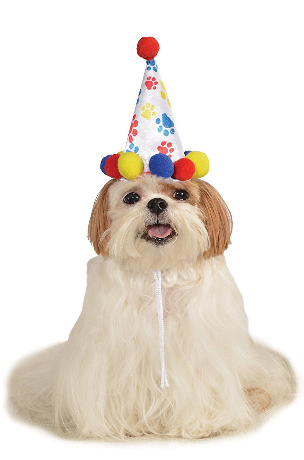 Boy's Birthday Hat Pet Costume