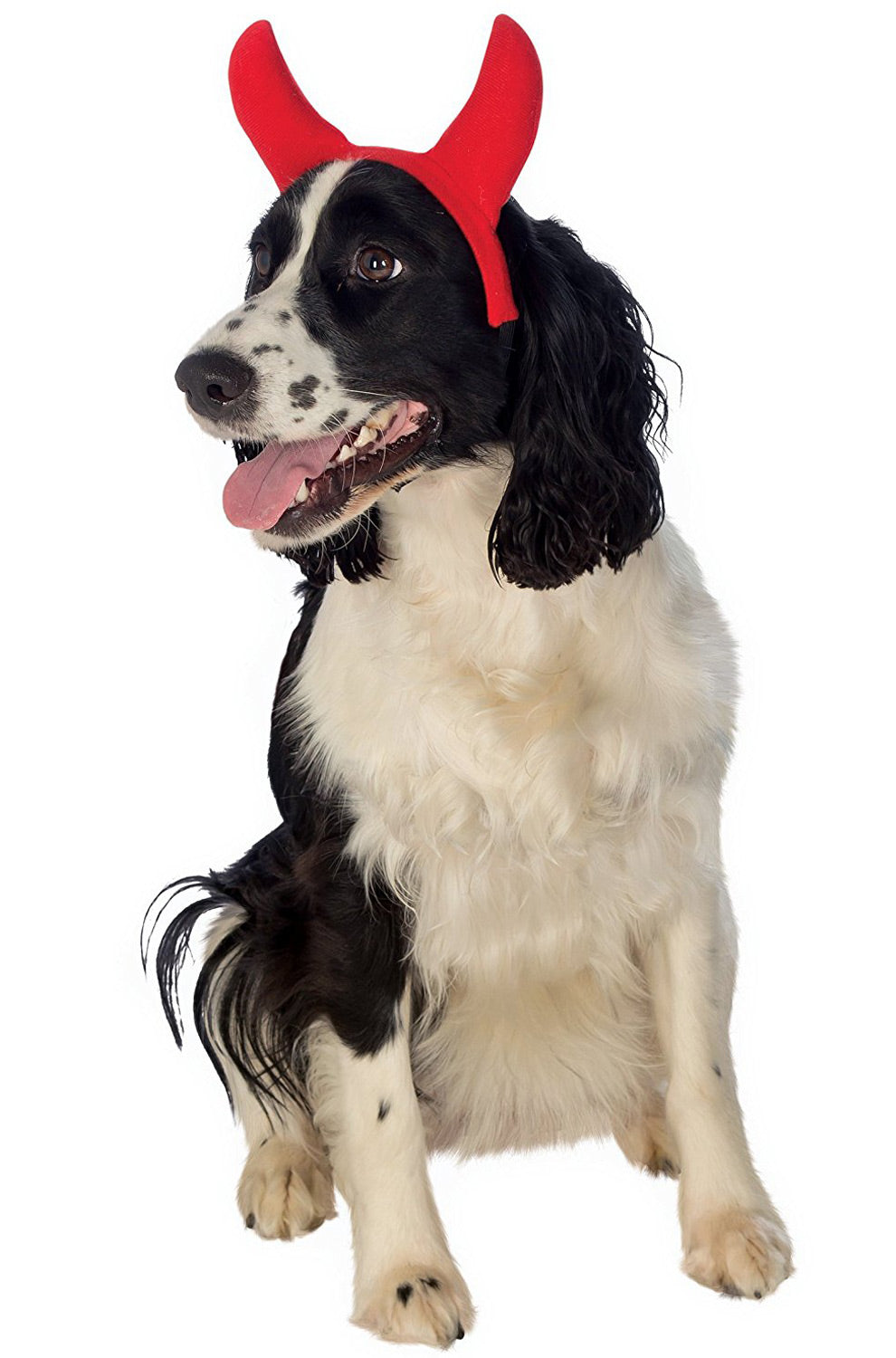 Devil Horns Pet Costume