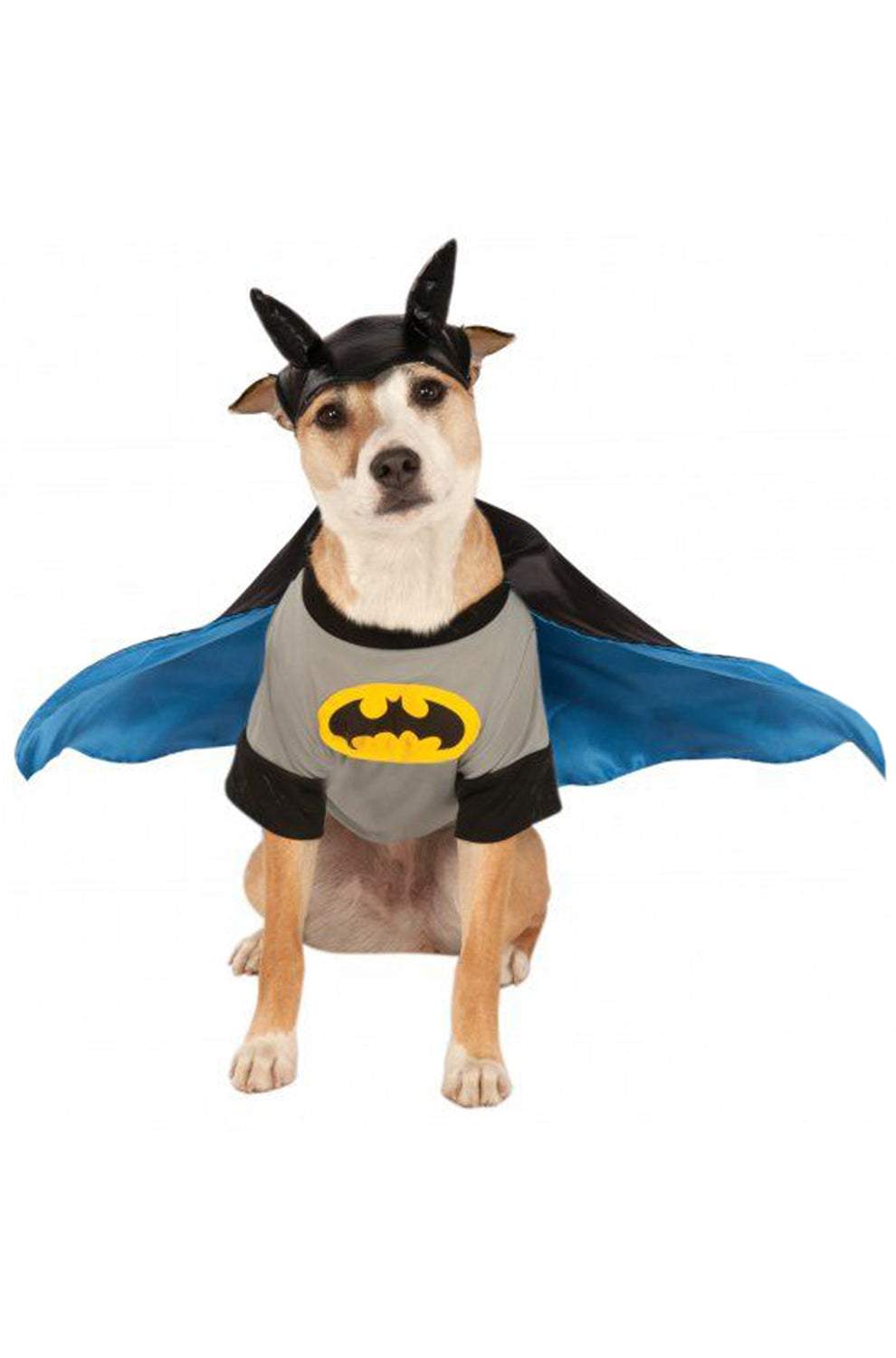 Batman Pet Costume
