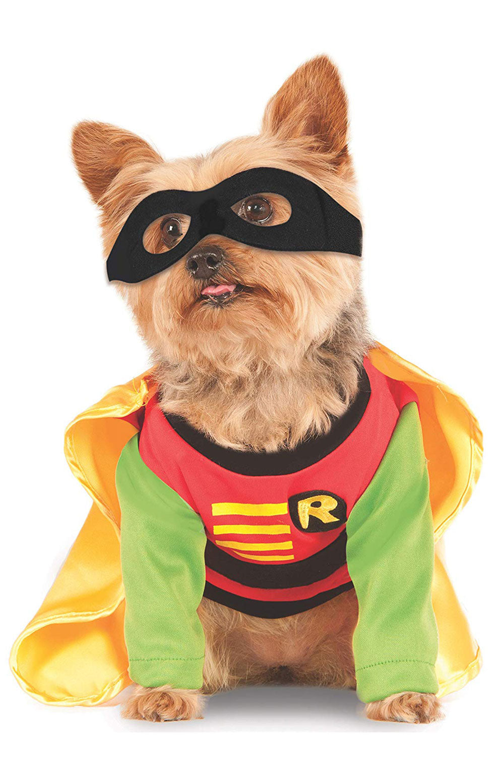 Robin Pet Costume