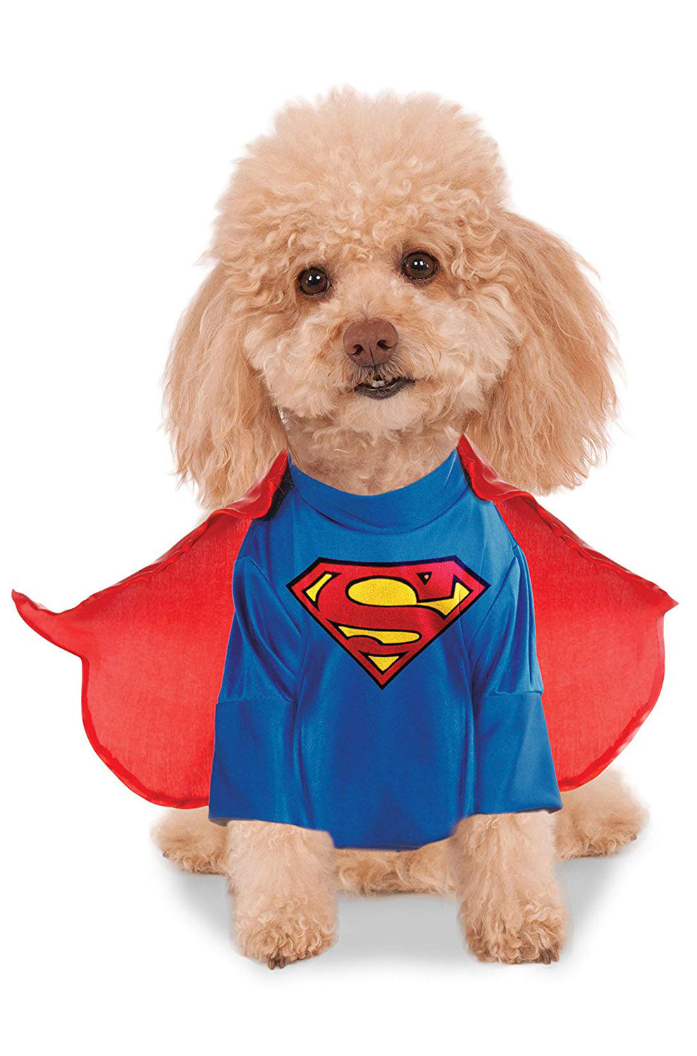 Superman Pet Costume