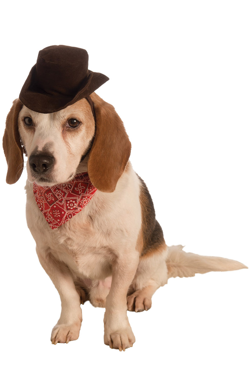 Pet Cowboy Set