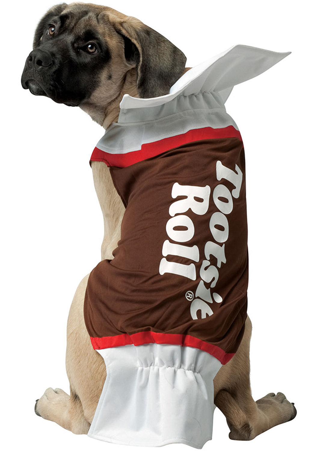 Tootsie Roll Dog Costume