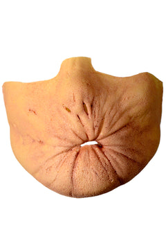 Arseface Appliance Kit