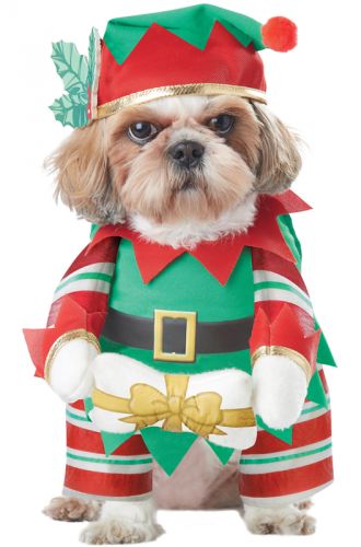 Elf Pup Pet Costume