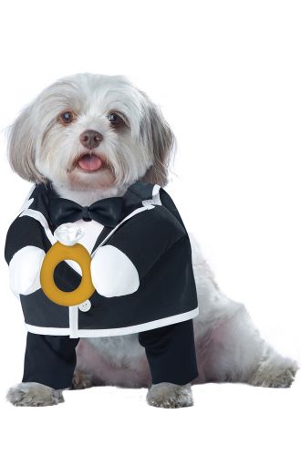 Puppy Love-Groom Dog Costume